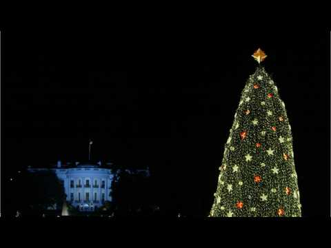 VIDEO : Tips On Buying A Christmas Tree