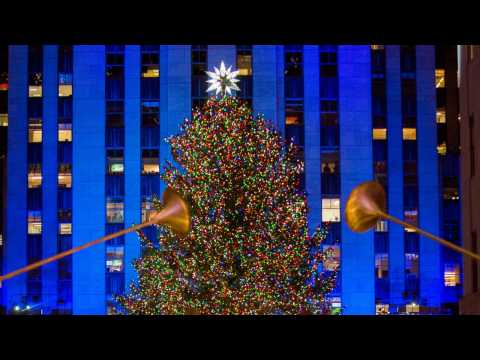 VIDEO : Celebrities Show Off Christmas Spirit On Instagram