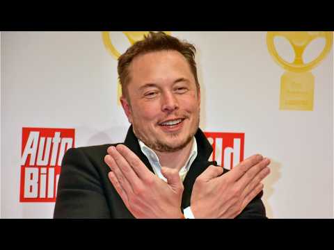 VIDEO : Elon Musk Slams Critics About His Public Transit Remarks