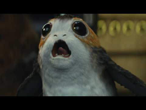 VIDEO : Porgs Actually Serve A Real-Life Purpose In ?Star Wars: The Last Jedi?