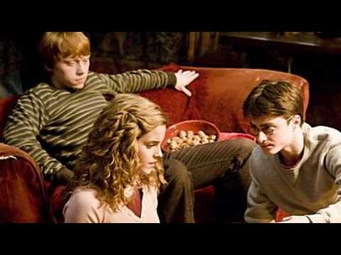 VIDEO : Is Harry Potter A Christmas Movie?
