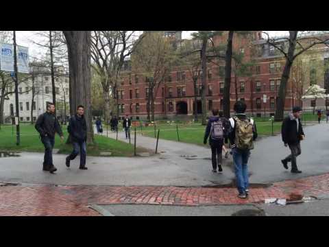 VIDEO : Writer Describes Her Journey To Loving Her Natural Hair