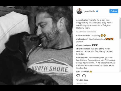 VIDEO : Gerard Butler adopts stray dog