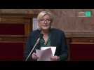 Marine Le Pen se plante complètement au micro de l'Assemblée nationale (Vidéo)