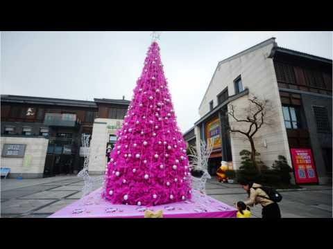 VIDEO : Wait, There Are Pink Holiday Trees