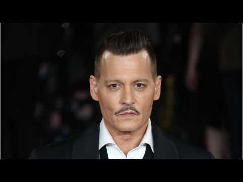 VIDEO : Fans Want 'Fantastic Beasts 2' To Replace Johnny Depp