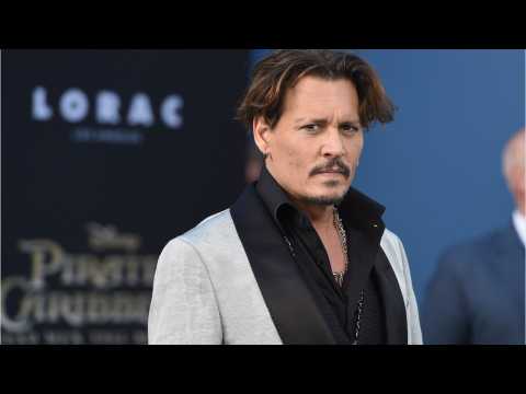 VIDEO : Director Defends Johnny Depp Casting