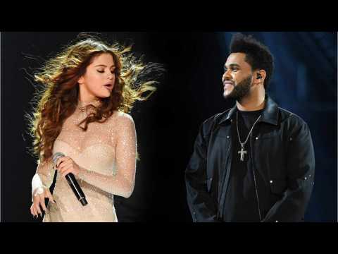 VIDEO : The Weeknd Deleted All of His Instagram Photos With Selena Gomez