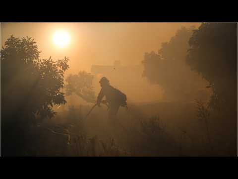 VIDEO : Westworld Season 2 Shuts Down Production Amid California Wildfires