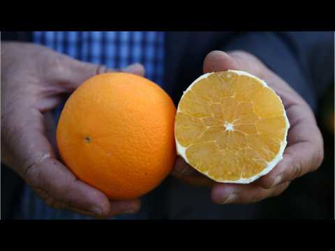 VIDEO : Orange Throughout Time
