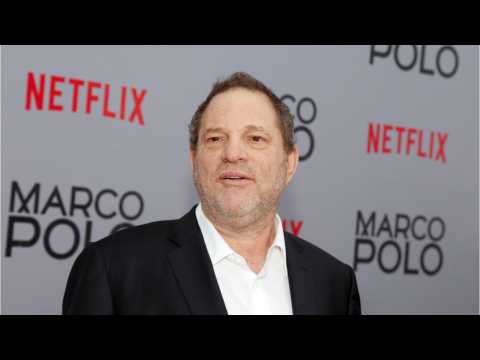 VIDEO : Weinstein Co. Wants To Sell 'Paddington 2' Before Bankruptcy