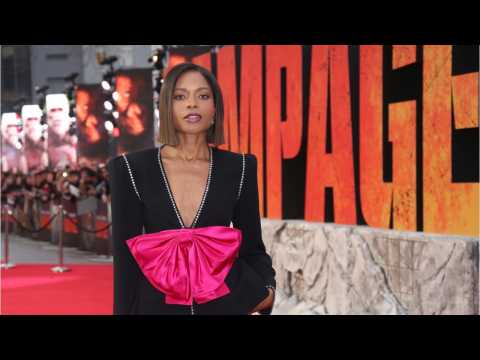 VIDEO : 'The Rock' Opens Up About 'Rampage' Co-Star Naomie Harris