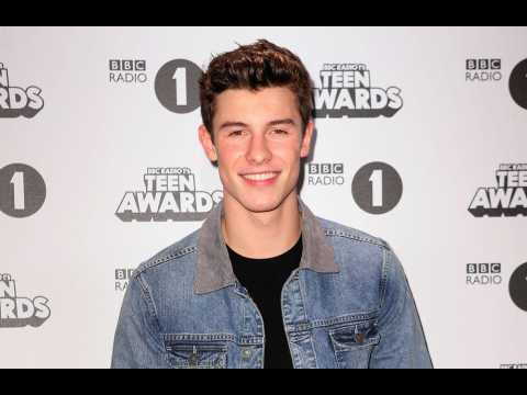 VIDEO : Shawn Mendes was too nervous to meet royals
