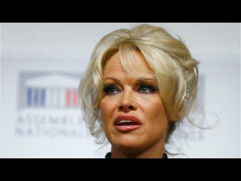 VIDEO : Pamela Anderson Says She Never Spoke To Kid Rock Again After Divorce