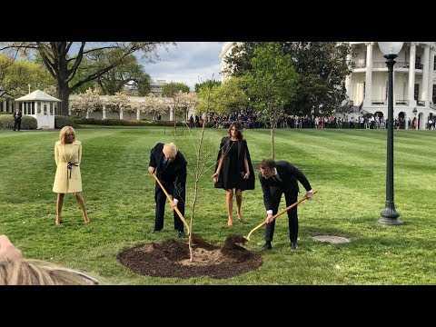 VIDEO : Macron et Trump ont plant ensemble un chne  la Maison-Blanche