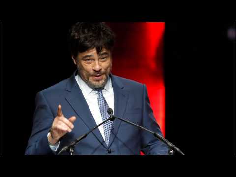 VIDEO : Benicio Del Toro Says Cannes Voting Process Is Amusing