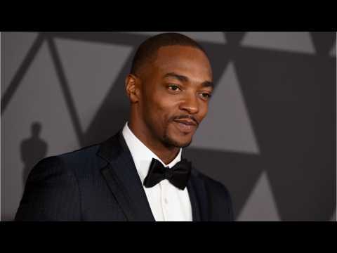 VIDEO : Anthony Mackie Says He and Tom Holland Are Cool Now