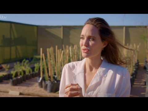 VIDEO : Angelina Jolie Flies Plane Over Namibia