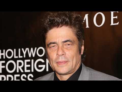 VIDEO : Benicio Del Toro Cast As Swiper In 'Dora The Explorer' Movie