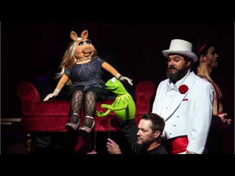 VIDEO : The Beautiful Relationship For Kermit The Frog And Miss Piggy's