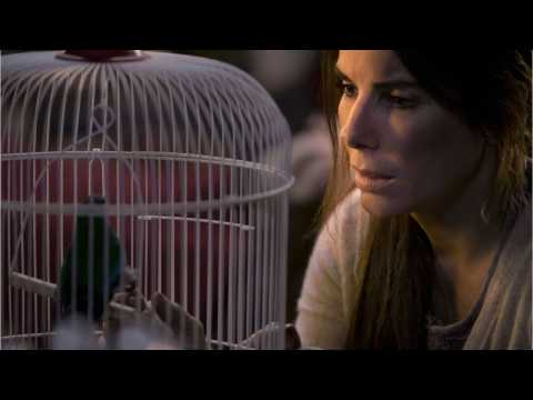 VIDEO : What Is 'Bird Box' About?