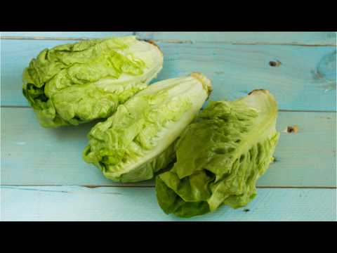 VIDEO : 2018's Top Food Searches on Google