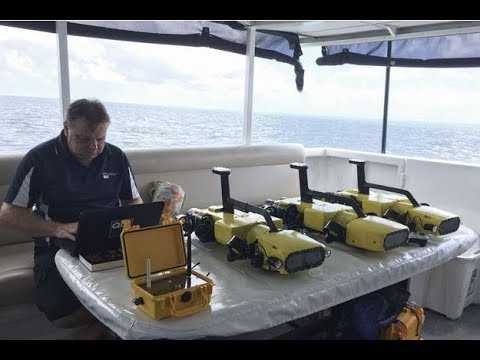 VIDEO : Cet Australien a invent un robot pour sauver le corail