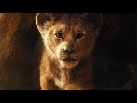 VIDEO : Beyonce, Donald Glover To Record Classic Song For ?Lion King? Remake