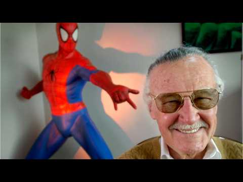 VIDEO : Marvel's Stan Lee Left Out Of SAG Awards Tribute