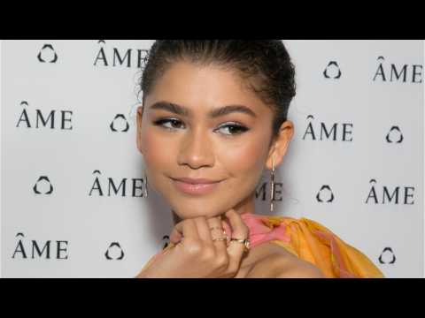 VIDEO : Dune Remake May Be Adding Zendaya To Its Cast