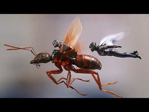 VIDEO : 'Ant-Man and the Wasp' Is Now Streaming on Netflix