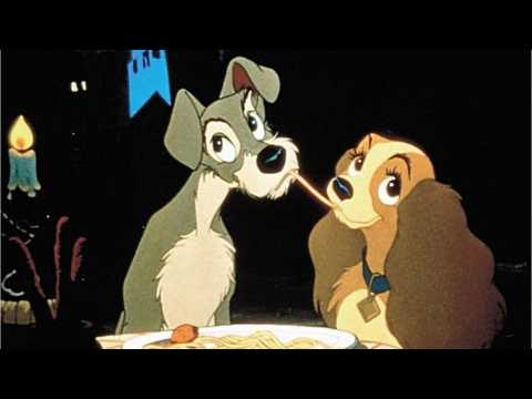 VIDEO : Disney WIll Be Using 'Real Dog Actos' For Live Action Lady and the Tramp