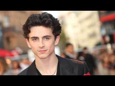 VIDEO : Timothee Chalamet To Be Honored At Palm Springs Film Festival