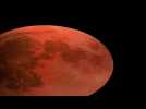 Une éclipse totale et une Lune rouge visibles lundi matin