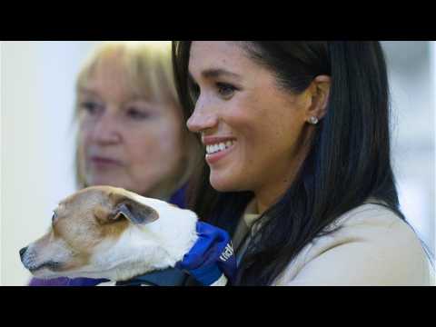 VIDEO : Meghan Markle Called A 'Fat Lady' At Royal Event