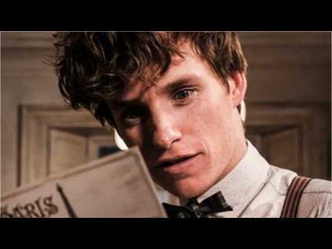 VIDEO : Production Delayed on Next Fantastic Beasts Movie