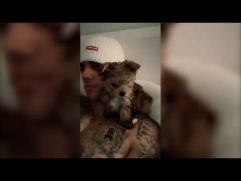 VIDEO : Justin Bieber y Hailey Baldwin amplan la familia con un perro