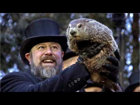 VIDEO : There's Going To Be A ?Groundhog Day? VR Video Game
