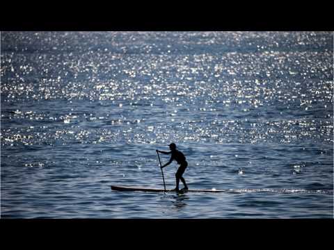 VIDEO : Great Music Of The Summer