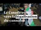 Le Canada, 1er pays du G7 en passe de légaliser le cannabis