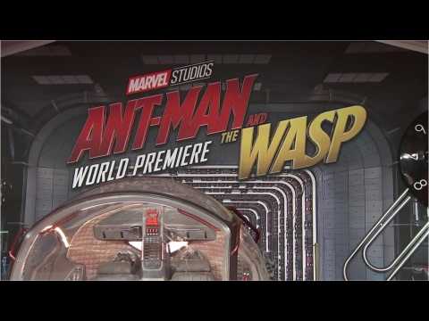 VIDEO : ?Ant-Man and the Wasp? Hailed by Critics As Creative, Confident