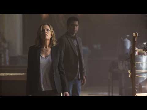 VIDEO : 'Fear The Walking Dead' Faces Copyright Lawsuit
