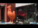 Lille : Une vitrine de boucherie vandalisée par des militants vegan (vidéo)