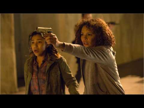 VIDEO : 'The Purge' TV Series Gets Premiere Date