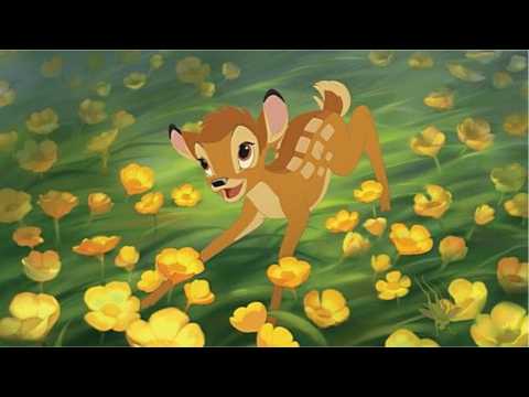 VIDEO : Disneytoon Animation Studios Shuttered By Disney