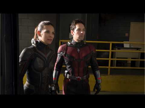 VIDEO : 'Ant-Man and the Wasp's Evangeline Lilly Talks About The Possibility Of A Third Movie