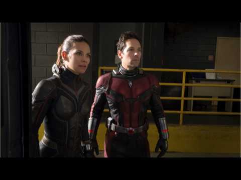 VIDEO : 'Ant-Man and the Wasp's Evangeline Lilly Talks About The Possibility Of A Third Movie