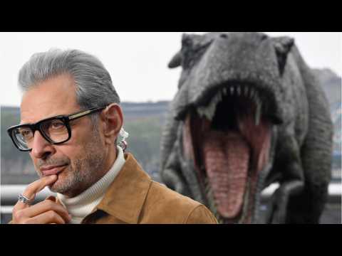 VIDEO : What Jeff Goldblum Wants To Do If He's 'Sitting Up And Taking Nourishment' In 2021