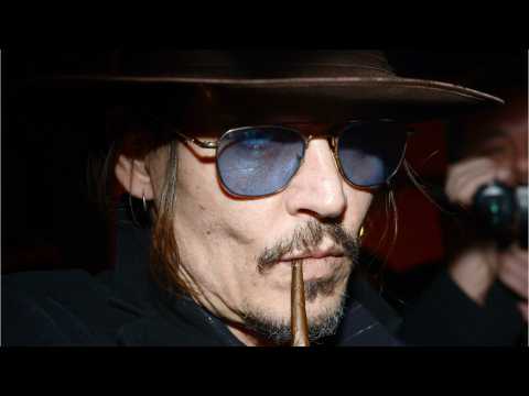 VIDEO : Fans Concerned About Johnny Depp's Weight Loss Can Rest Easy