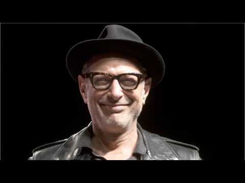 VIDEO : Jeff Goldblum Honored With Star On Hollywood Walk Of Fame